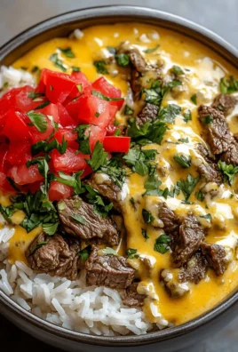 Steak Queso Rice