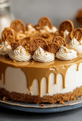 Biscoff Lotus Cheesecake