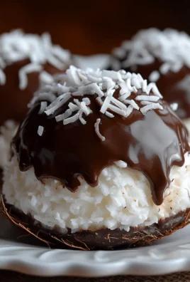 Coconut Dome with Chocolate